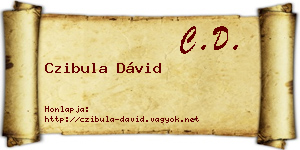 Czibula Dávid névjegykártya